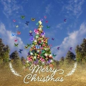 Meet your Posher, Angel